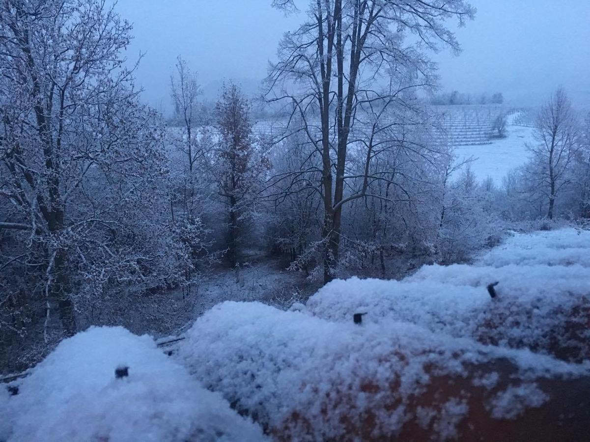 Tenuta Larenzania Dogliani Buitenkant foto
