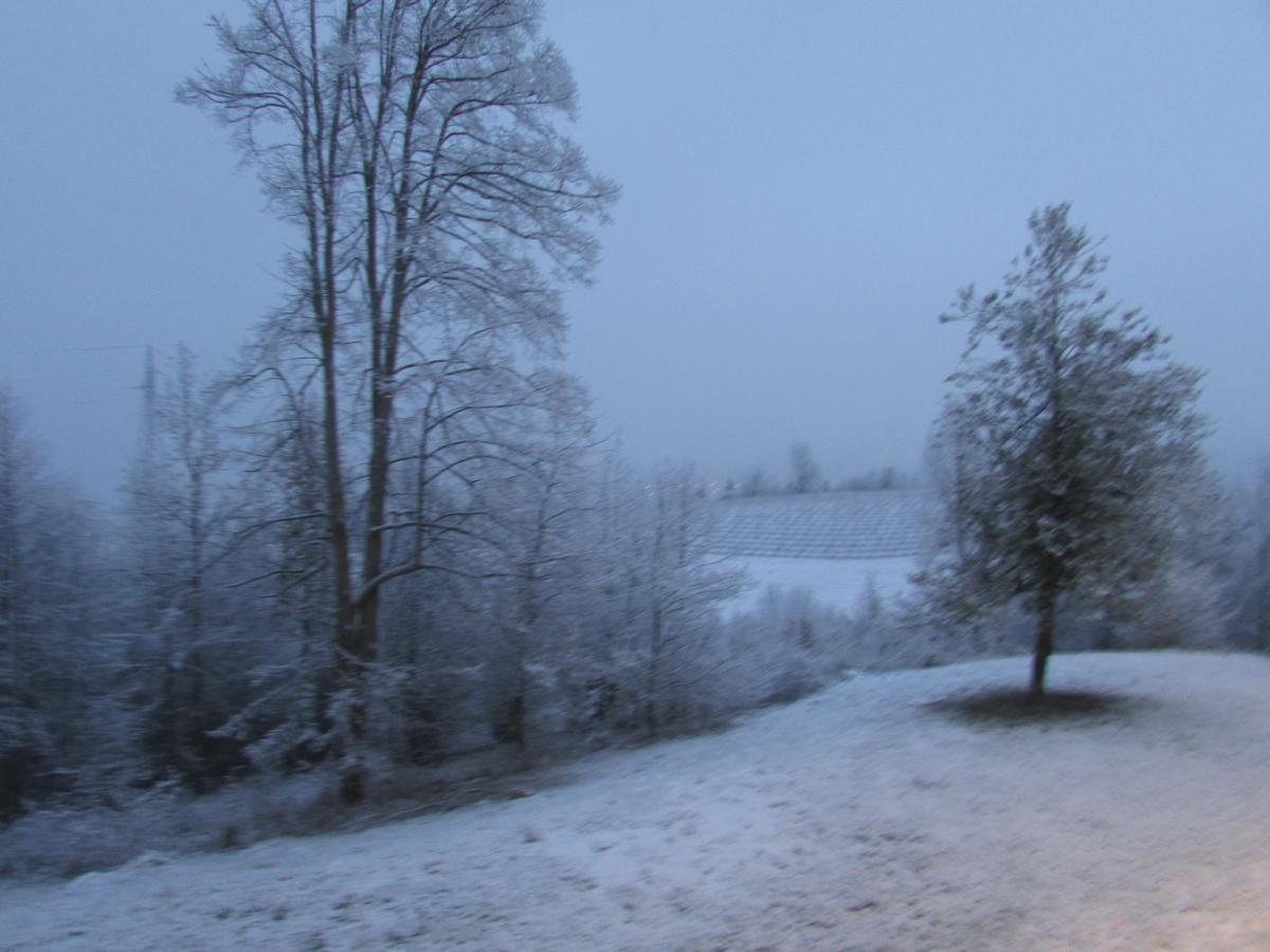 Tenuta Larenzania Dogliani Buitenkant foto
