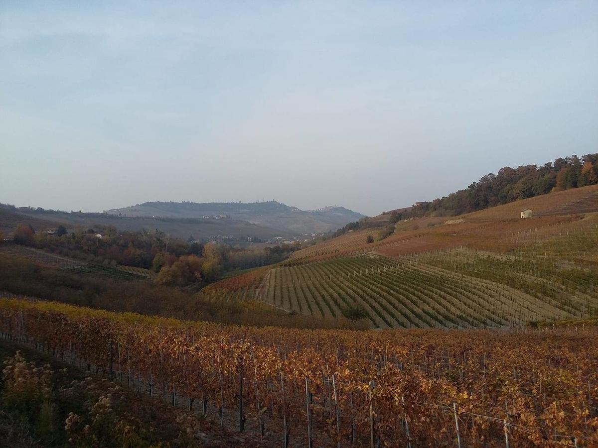 Tenuta Larenzania Dogliani Buitenkant foto